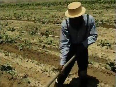 Ebony Hunks Working With Haystack In Amish Warehouse - Usa on girlsporntube.one