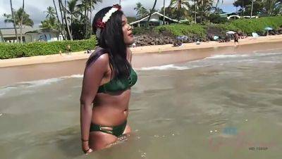 Yara Skye: Black Beauty's Intimate Encounter with a Sea Turtle on Beach on girlsporntube.one