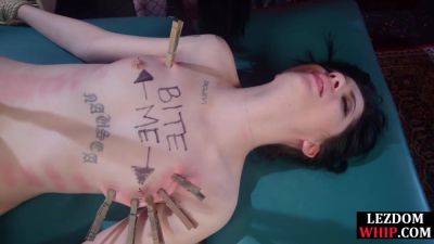 Les domina whips clothespinned sub in her tattoo salon on girlsporntube.one